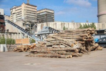 Stocul de biomasă pe care il mai deține Bioenergy
