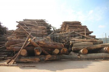 Grămezi imense de masă lemnoasă se află în curtea Bioenergy