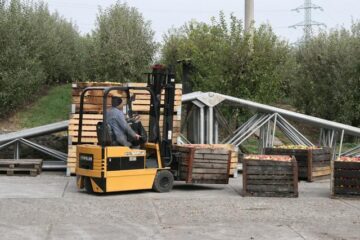 Florin Florea depozitează merele pentru industrializare