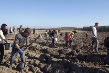 Tinerii voluntari au plantat o pădure pe 40 de hectare de teren