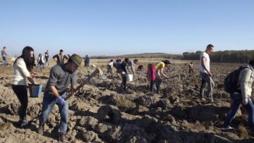 Tinerii voluntari au plantat o pădure pe 40 de hectare de teren