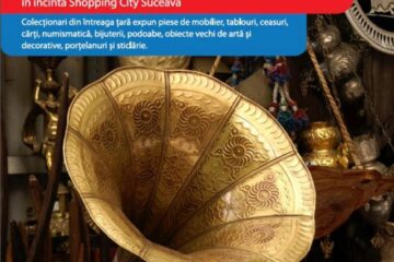 Târg de Artă și Antichități, la Shopping City Suceava