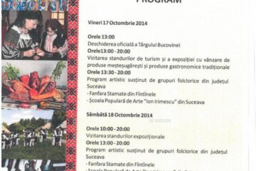 Târgul Bucovinei, la Iulius Mall Iași