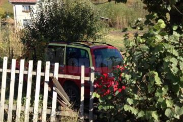 Mașina a lovit un copac și a trecut printr-un gard
