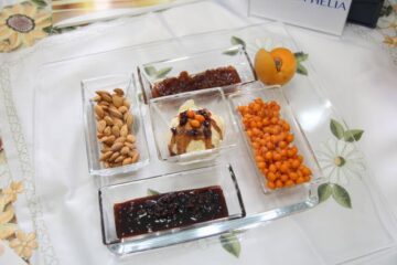Înghețata cu topinambur, cătină și lapte din sâmburi de caisă