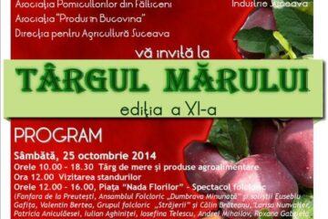 Unde fugim de-acasă...