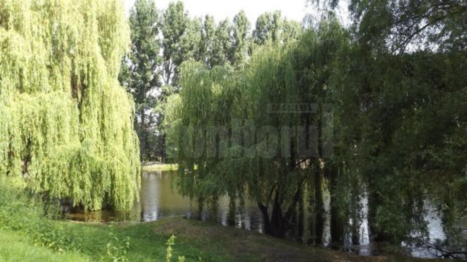 Lacul zonei de agrement va fi dotat cu un debarcader