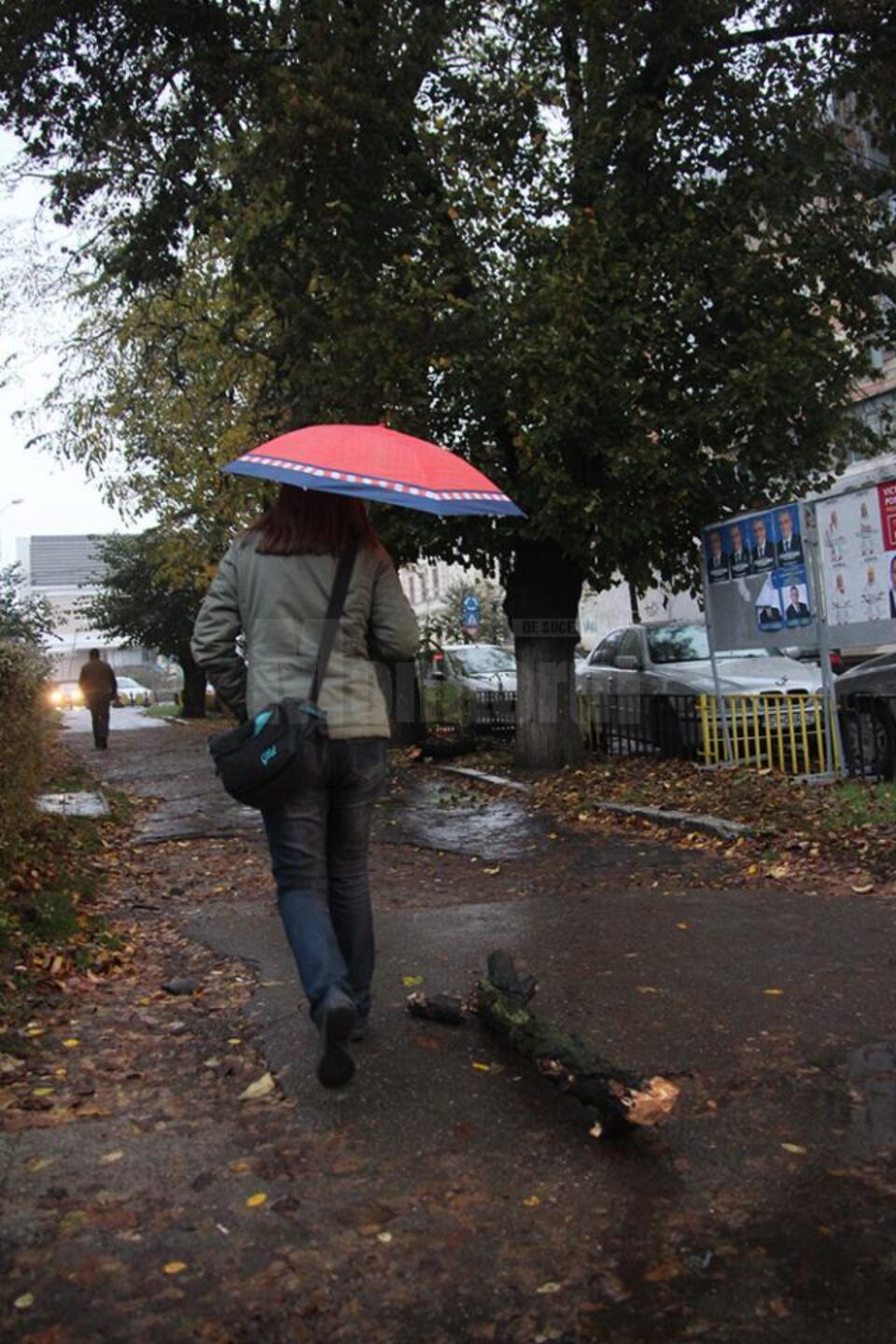 Din cauza condițiilor meteo, crengile uscate ale unui tei de pe marginea străzii Nicolae Bălcescu, din centrul Sucevei, s-au prăbușit ieri pe trotuar