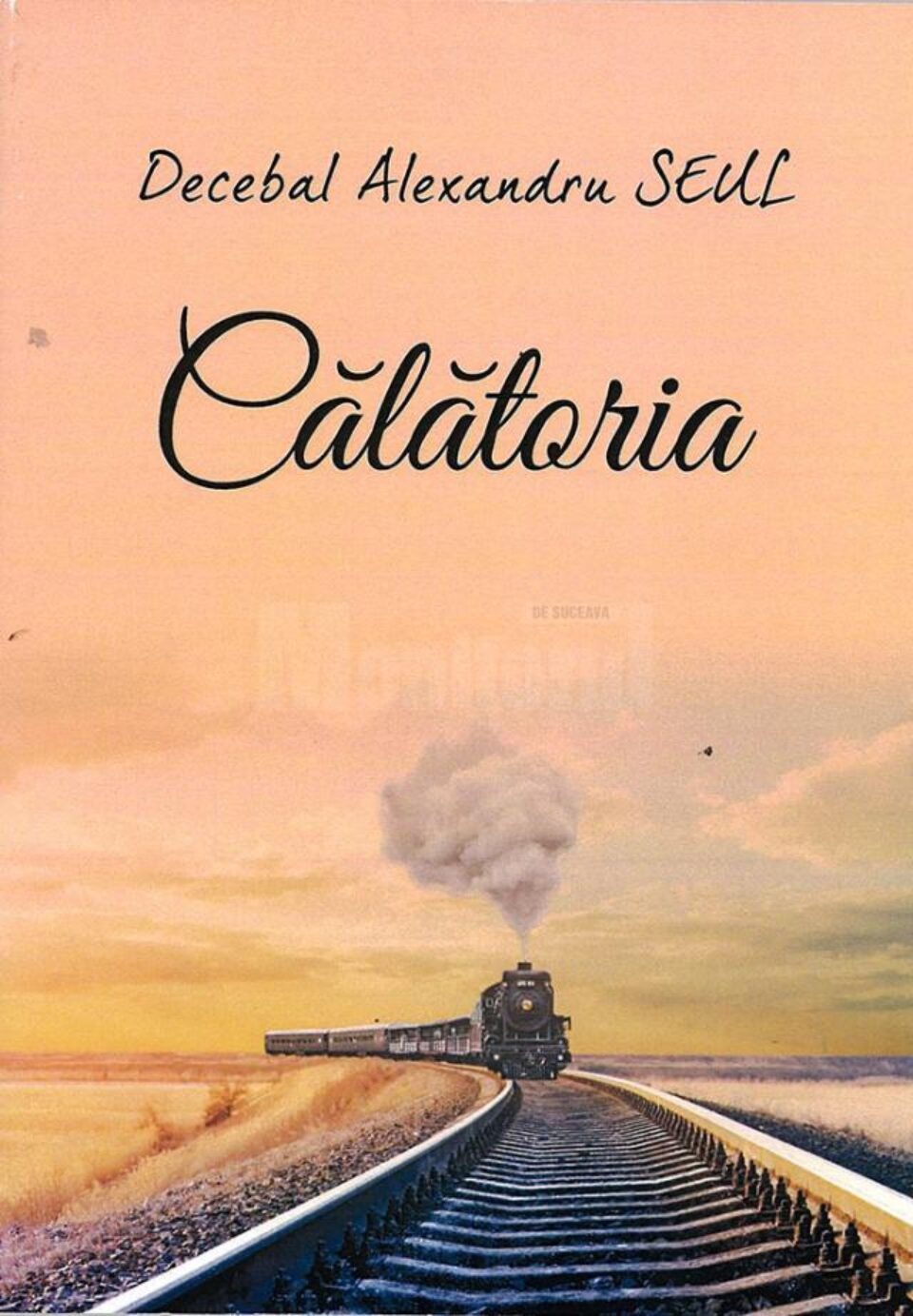 Decebal Alexandru Seul: „Călătoria”