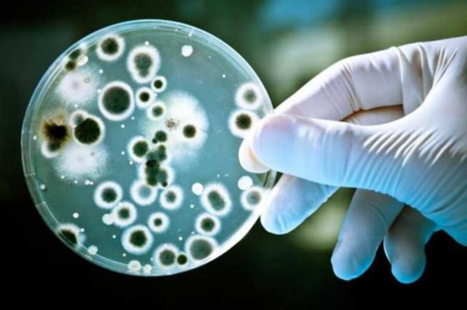 Bacteria se transmite cu ușurință de la o persoană la alta dacă nu sunt respectate reguli clare de igienă. Foto:www.qbox.ro Bacteria se transmite cu ușurință de la o persoană la alta dacă nu sunt respectate reguli clare de igienă. Foto:www.qbox.ro