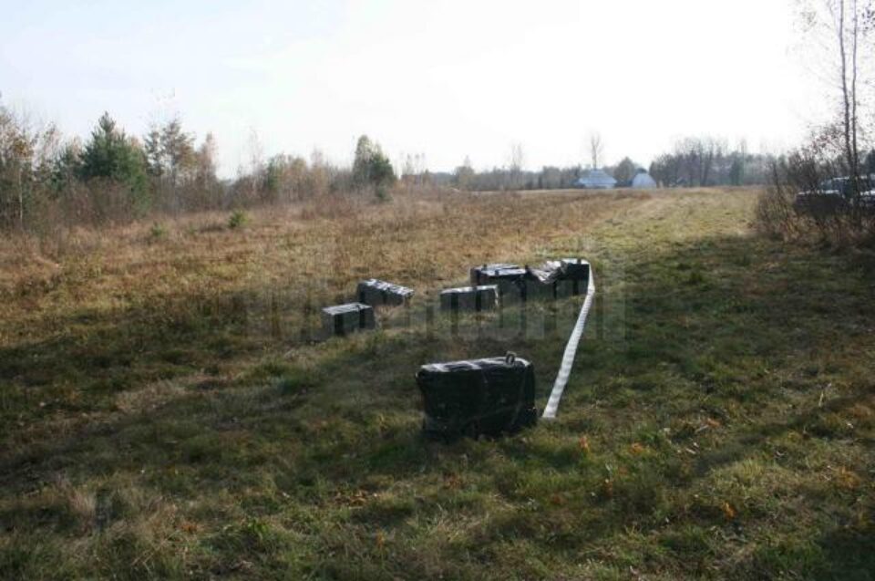 5.890 pachete de țigări, în valoare de 59.000 lei, au fost ridicate în vederea confiscării