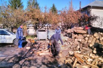 Polițiștii din Câmpulung Moldovenesc muncesc de zor în aceste zile la tăiat și depozitat lemne