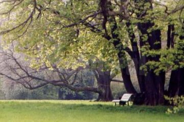 „Parcul Muncitorilor”