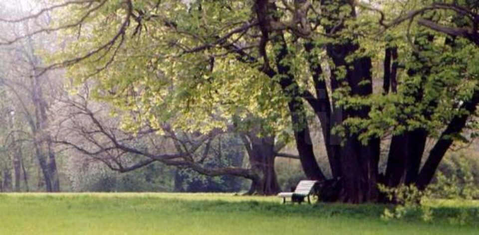 „Parcul Muncitorilor”