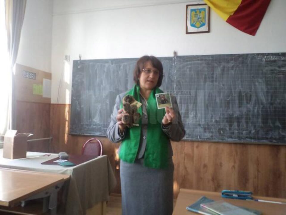 Elevii unei clase a Școlii Gimnaziale din Salcea au adoptat un urs
