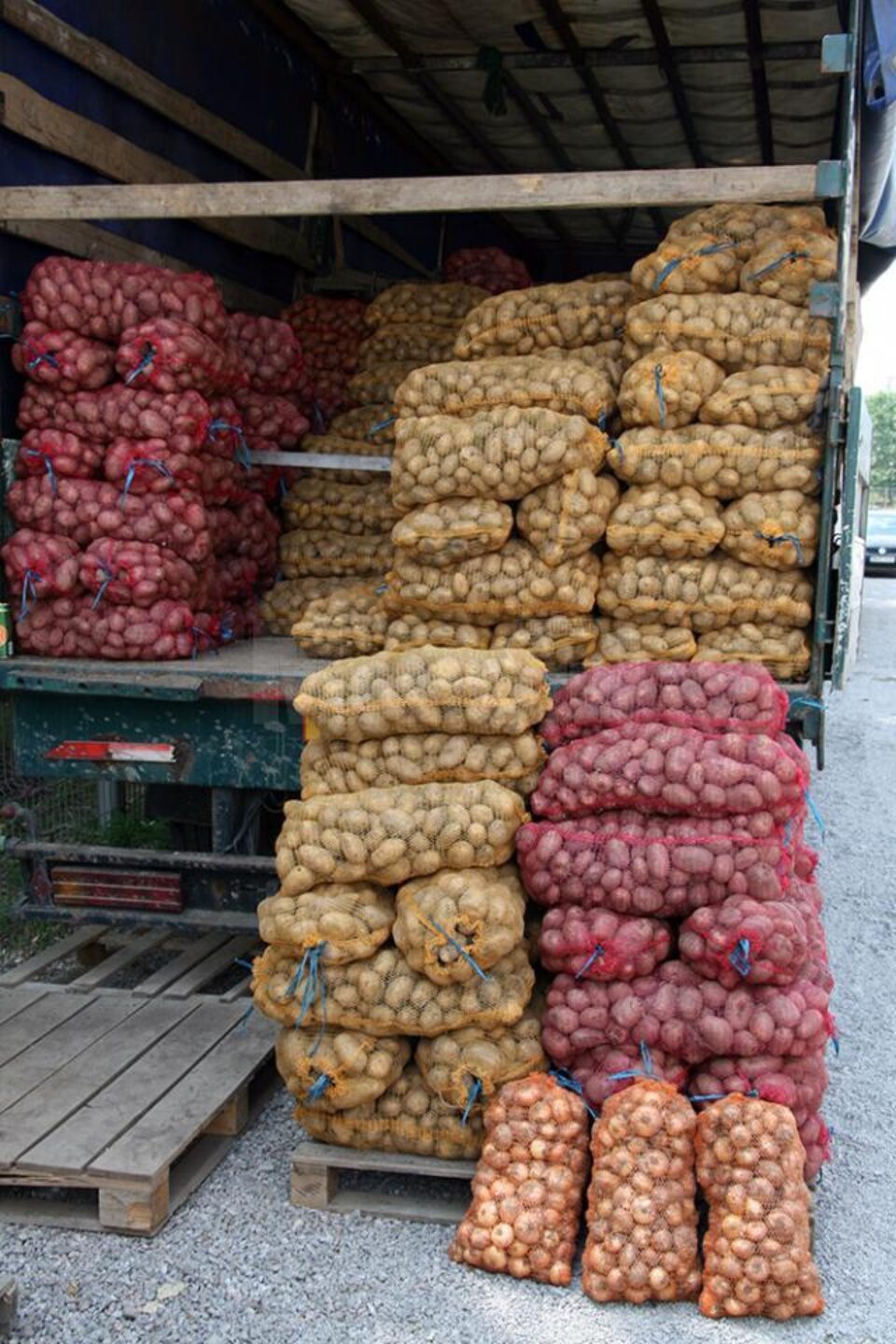 Prețul cartofului, de patru ori mai mic decât anul trecut