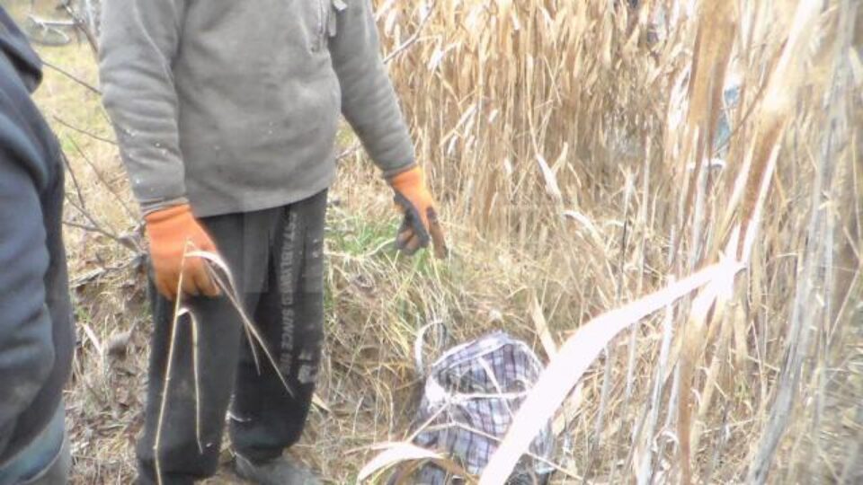 Bunurile au fost găsite într-o zonă cu vegetație uscată, unde au fost ascunse de autori