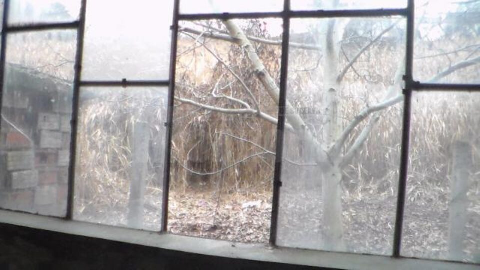 Bunurile au fost găsite într-o zonă cu vegetație uscată, unde au fost ascunse de autori