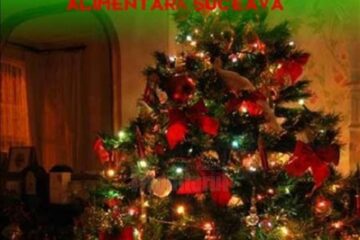 Spectacolul „Simțim, iubim, dăruim”, la Iulius Mall