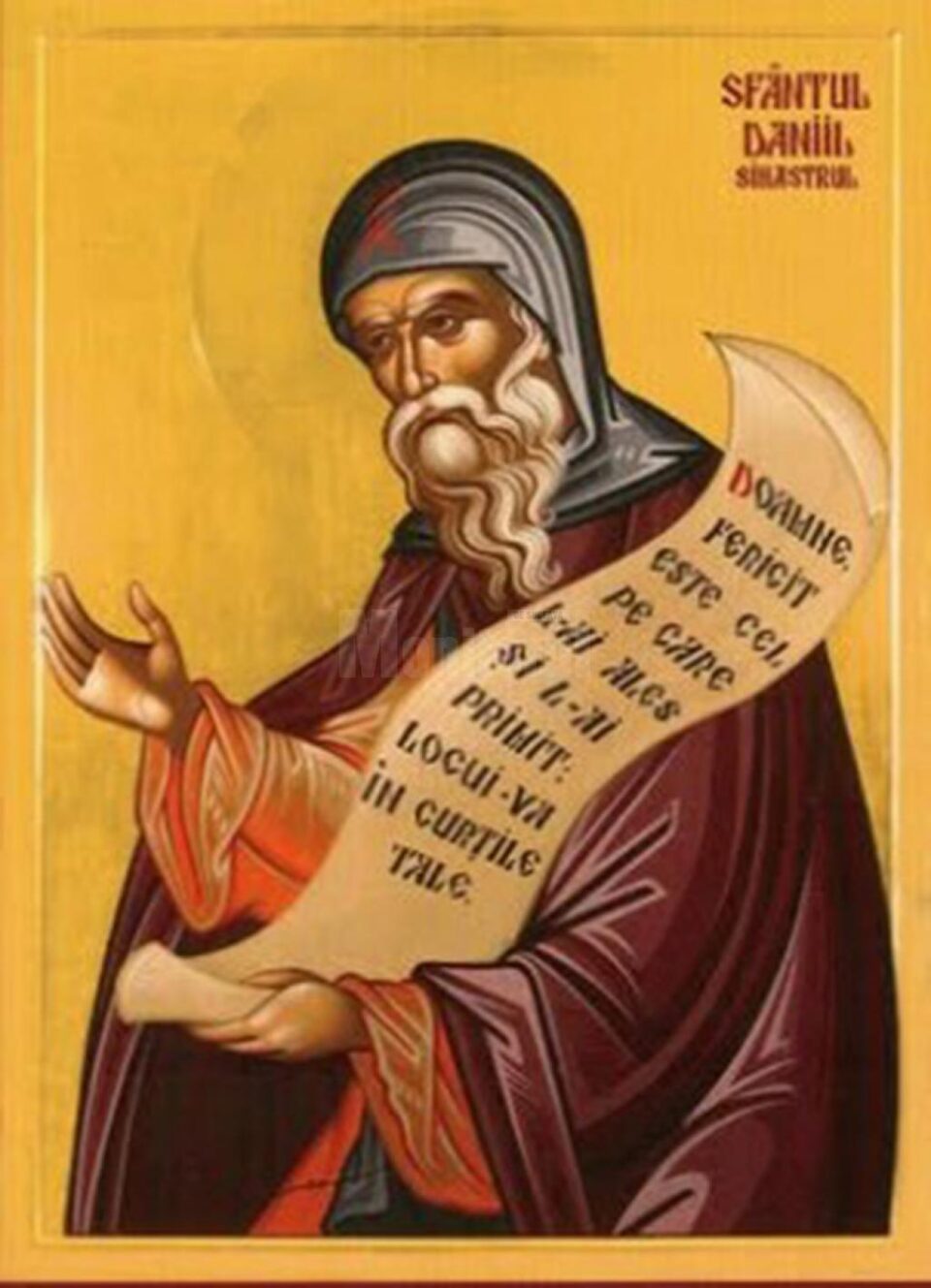 Sfântul Daniil Sihastrul