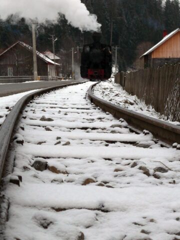 Mocănița a atras turiștii la Moldovița