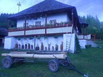 Casa Litiu din Botuș