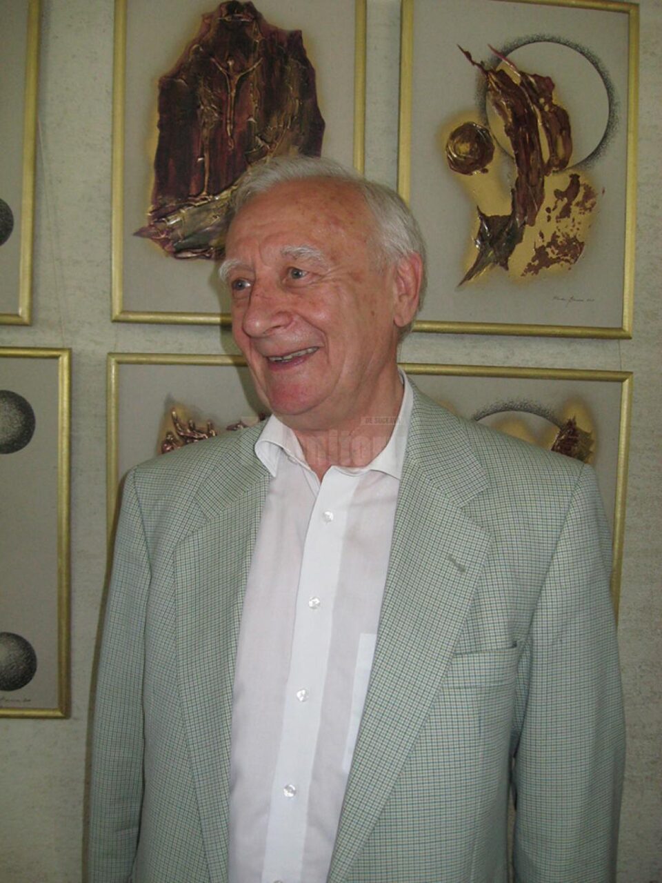 Artistul plastic Radu Bercea