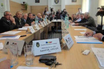 Consiliul Local al municipiului Rădăuți