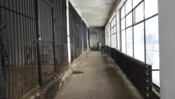 Copil de 11 ani, rănit de o leoaică la Zoo Rădăuți, într-un pavilion nesecurizat