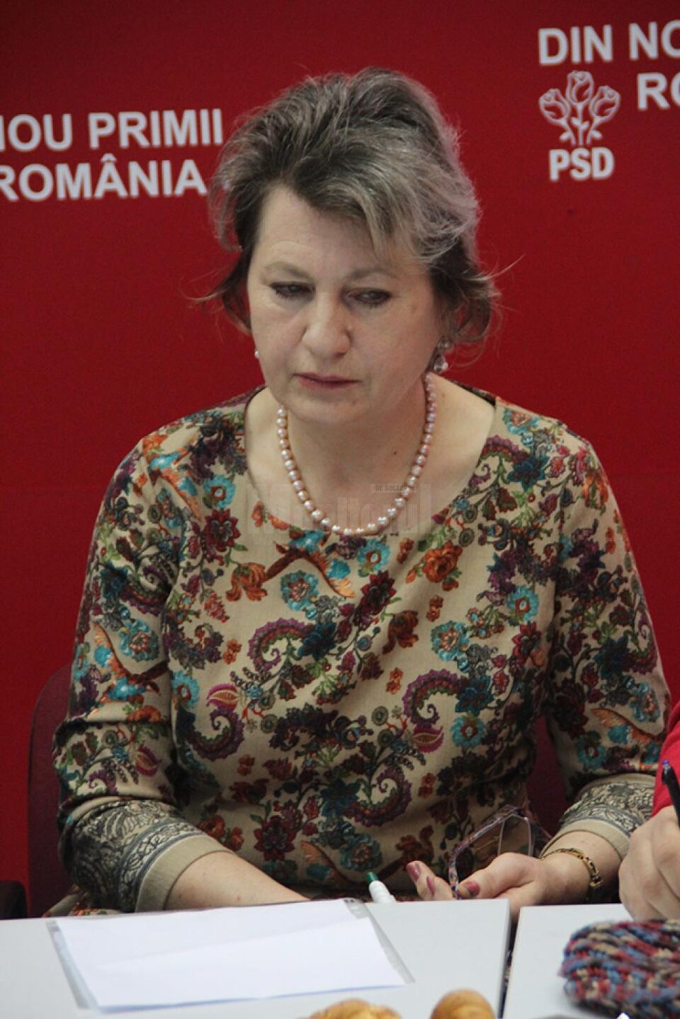Doinița Cocriș: „Se sfâșie între ei”
