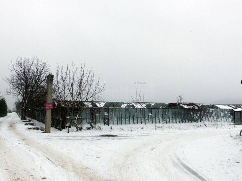 Serele fostei întreprinderi comuniste de legume și fructe sunt exploatate într-o formă sau alta în totalitate