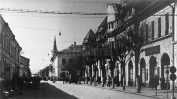Târgul Rădăuți, Babilonul Moldovei