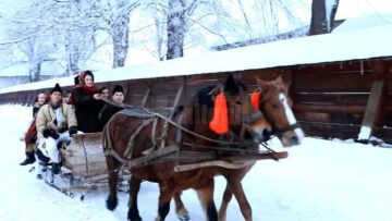 Albinele care au salvat Mănăstirea Humorului de la pârjol, pictate cu aur pe scutul comunei