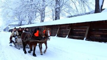 Albinele care au salvat Mănăstirea Humorului de la pârjol, pictate cu aur pe scutul comunei