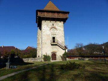 Albinele care au salvat Mănăstirea Humorului de la pârjol, pictate cu aur pe scutul comunei