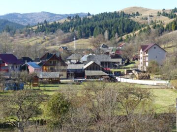 Albinele care au salvat Mănăstirea Humorului de la pârjol, pictate cu aur pe scutul comunei