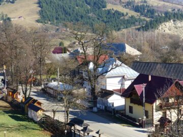 Albinele care au salvat Mănăstirea Humorului de la pârjol, pictate cu aur pe scutul comunei
