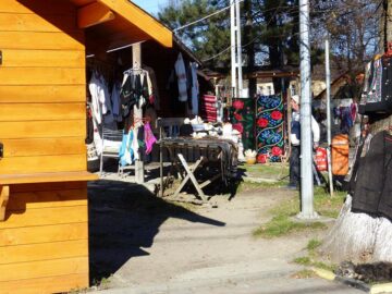 Albinele care au salvat Mănăstirea Humorului de la pârjol, pictate cu aur pe scutul comunei