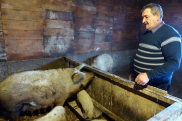 Ioan Buzduga vizează să răspândească rasa în Bucovina