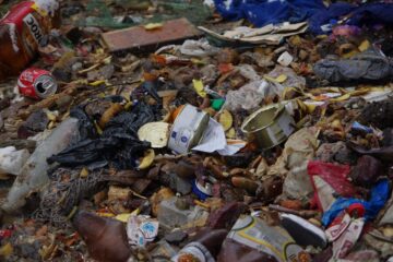 Mormane de gunoi aruncat de la geamurile unui cămin de locuințe sociale, în incinta unui liceu sucevean