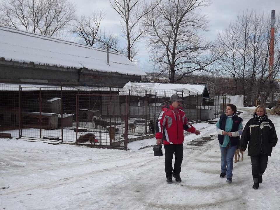 Operațiile vor fi efectuate în cabinetele medicale amenajate în cadrul adăpostului Primăriei Suceava din Lunca Sucevei