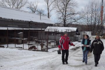 Operațiile vor fi efectuate în cabinetele medicale amenajate în cadrul adăpostului Primăriei Suceava din Lunca Sucevei