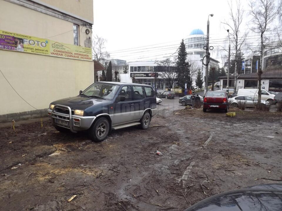 Doi copaci au fost tăiați luni de pe terenul dintre blocuri, devenit proprietate privată