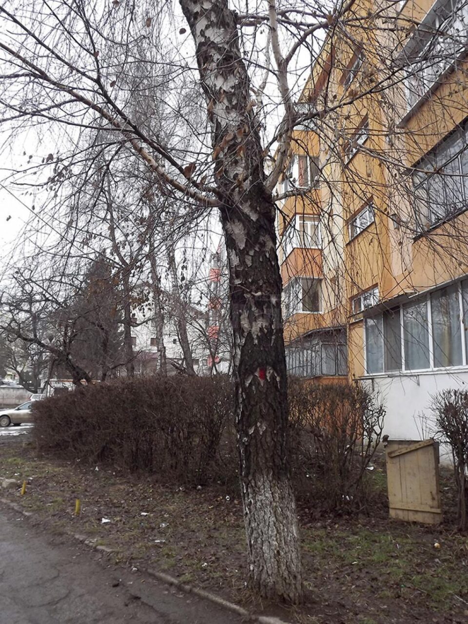 Un bloc de locuințe, cu spații comerciale și birouri, va fi ridicat vizavi de restaurantul Padrino