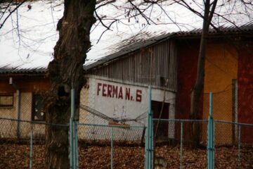 Cine și de ce a ruinat Avicola Suceava?