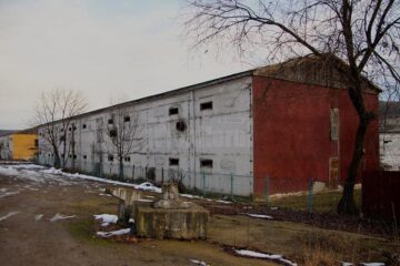 Cine și de ce a ruinat Avicola Suceava?