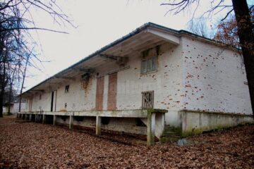 Cine și de ce a ruinat Avicola Suceava?