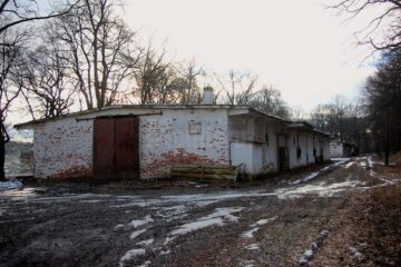 Cine și de ce a ruinat Avicola Suceava?