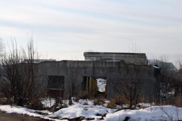 Cine și de ce a ruinat Avicola Suceava?
