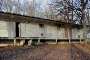 Cine și de ce a ruinat Avicola Suceava?